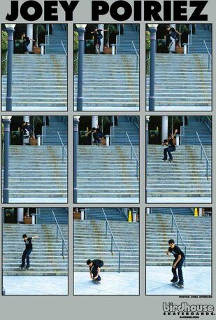 Joey 01