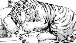 Miyuki-chan