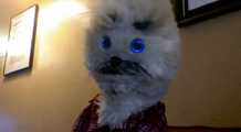 Finney Cam
