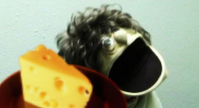 File:Askskippy4.png