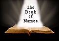 Thumbnail for version as of 01:30, April 24, 2011