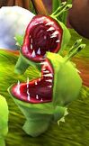 Chompies.jpg