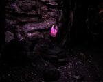 PenisLights