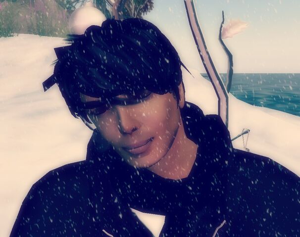 File:Wintersleeping king.jpg