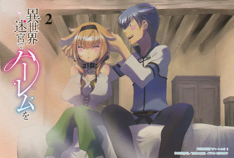 Image - Light Novel Volume 2.1.jpg | Slave Harem in the Labyrinth of