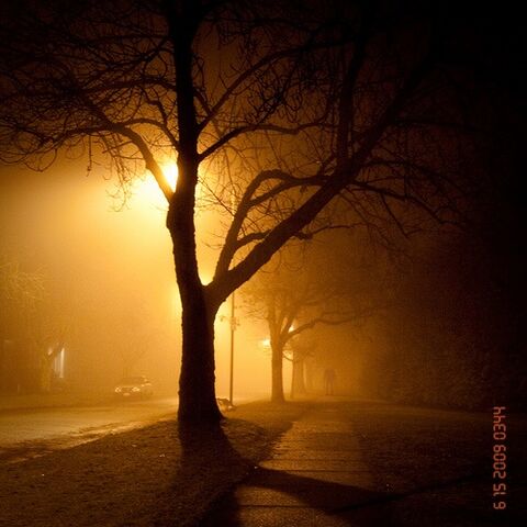 File:Slender Man 25.jpg