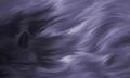 Thumbnail for version as of 02:48, June 22, 2014