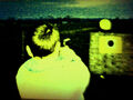 Thumbnail for version as of 21:17, July 3, 2011