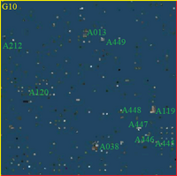 SG10