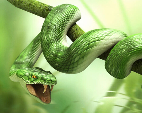 File:3d-Animals-Snake.jpg