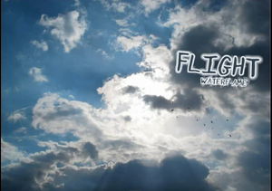 Flight