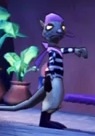 French Rat
