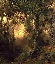 CubanSwamp