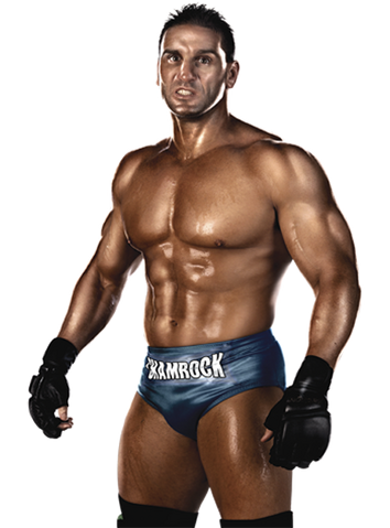 File:WWE13 Render KenShamrock-2186-1000.png