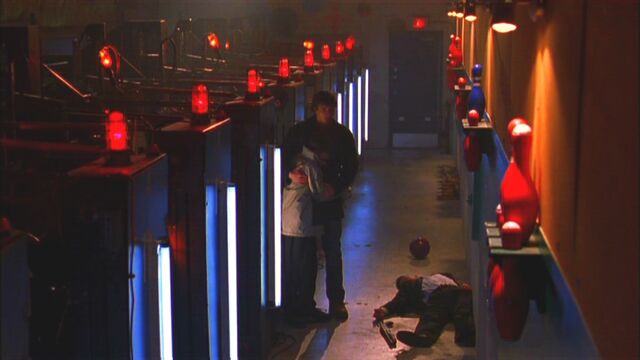File:Stray5.jpg