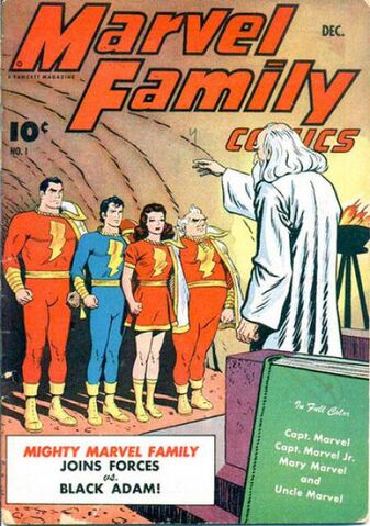 File:251573-1066-119538-1-marvel-family-the.jpg