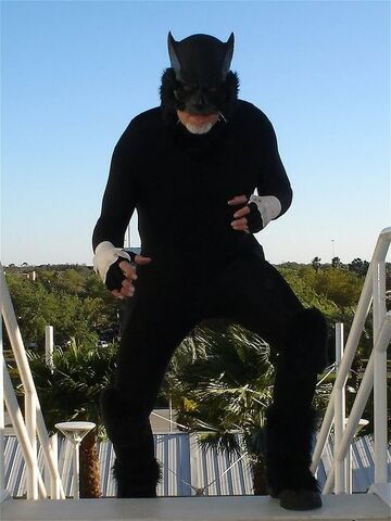 File:Wildcat2.jpg