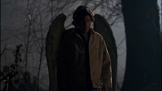 File:Smallville Season1 Ep1 05.jpg