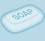 Pet Soap Icon