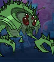 Flea Hach 2