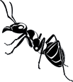 Giant Ants-0