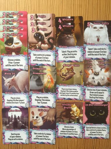 File:Kitty cats.jpg