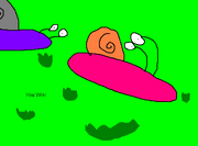 Sac