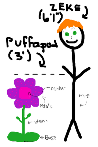 File:ZekeWeasleypuff.png