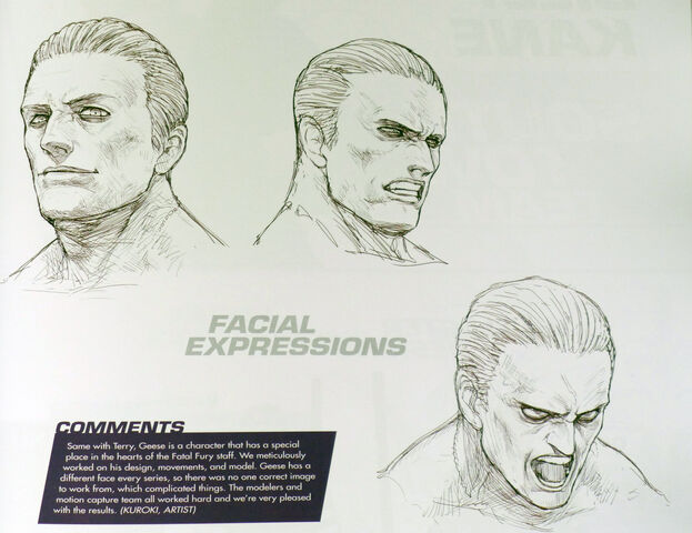 File:Geese Expressions.jpg