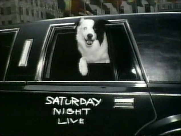 File:Mike the Dog 11.png