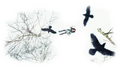 Thumbnail for version as of 09:59, November 28, 2011