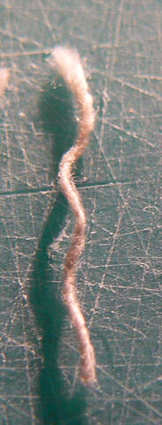 File:Twine2012 threadcloseup.jpg