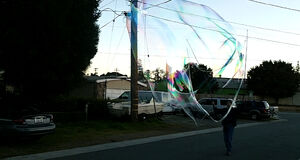 2011 02 26 whale of a bubble