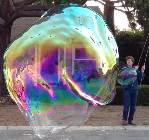 File:20131126 egoo 6497 CROP.png
