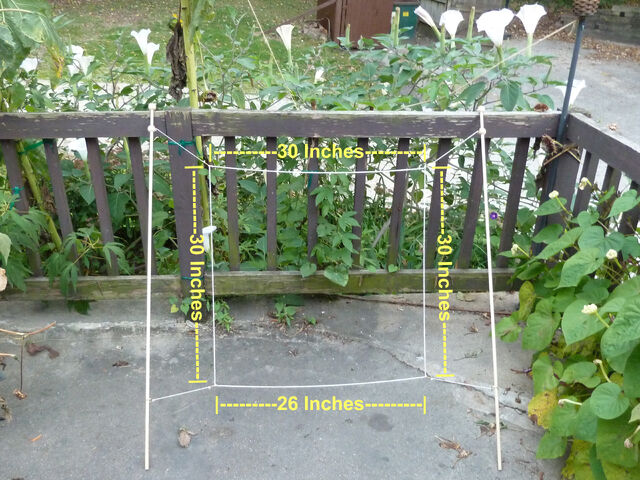 File:Opened2.jpg
