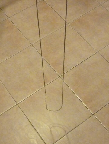 File:DetwistTest.jpg