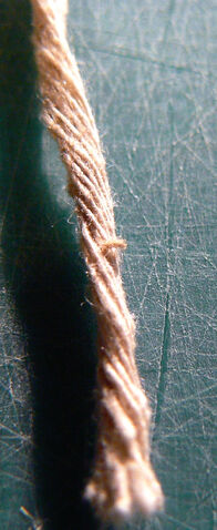 File:Twine2012 fullstrandcloseup.jpg