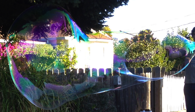 File:20130917 gelatin 2.png