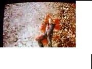 Dead sesseri smuggler