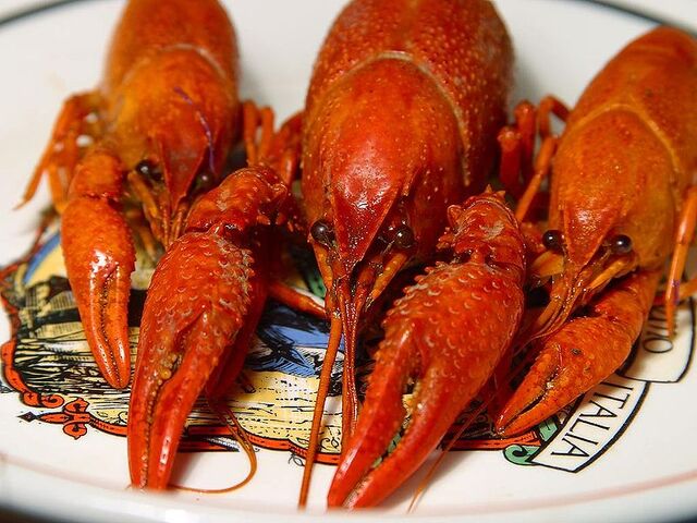 File:File-BoiledCrawdads.jpeg