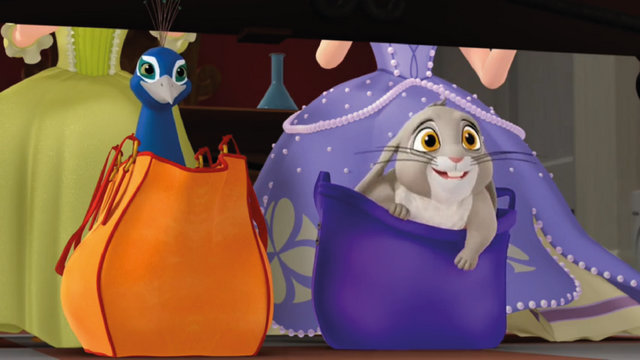 File:Scrambled-Pets16.png