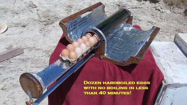 File:Clean tray with eggs1.jpg