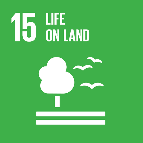 File:E SDG goals icons-individual-rgb-15.png