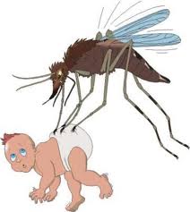 File:Mosquito attack baby.jpg