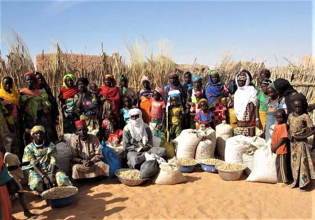 File:Sahara Sahel Foods 2017.jpg