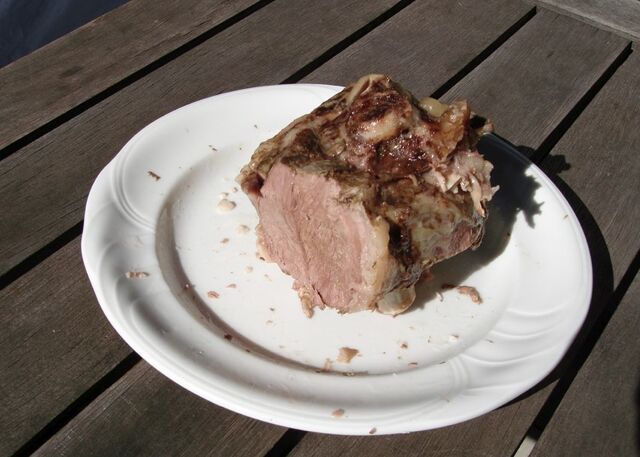 File:Solar Nest cooked meat.jpg