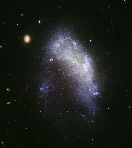 File:Irregular (NGC 1427A).jpg