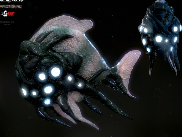 File:Wau marine life 2.png