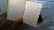 Timothy's Journal Roses