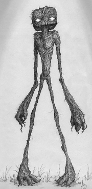 The tall man